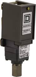 1 NEMA Rated, SPDT, 1 to 40 psig, Electromechanical Pressure and Level Switch MPN:9012GNG3