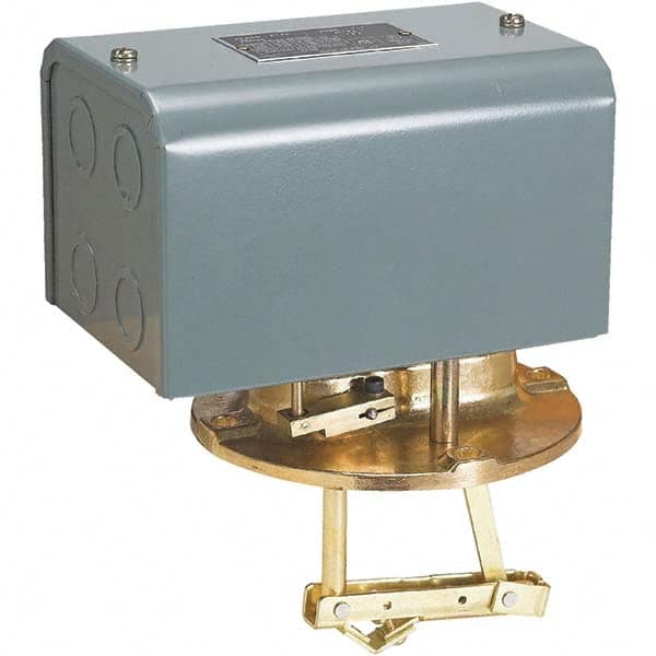 1 NEMA Rated, DPST-DB, Float Switch Pressure and Level Switch MPN:9038DG10