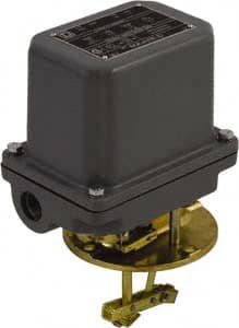 4 NEMA Rated, DPST-DB, Float Switch Pressure and Level Switch MPN:9038DW8