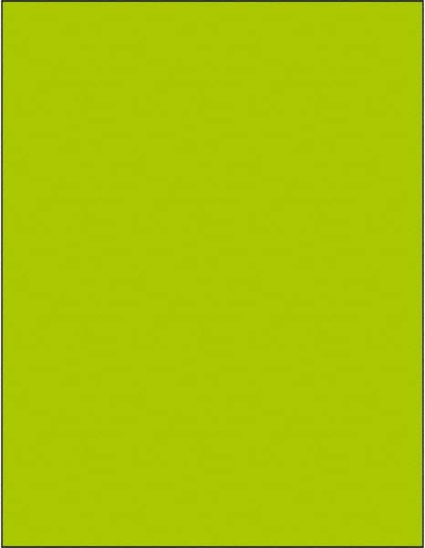 Label Maker Label: Fluorescent Green, Paper, 11