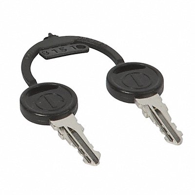 Ignition Key PK2 MPN:1017696