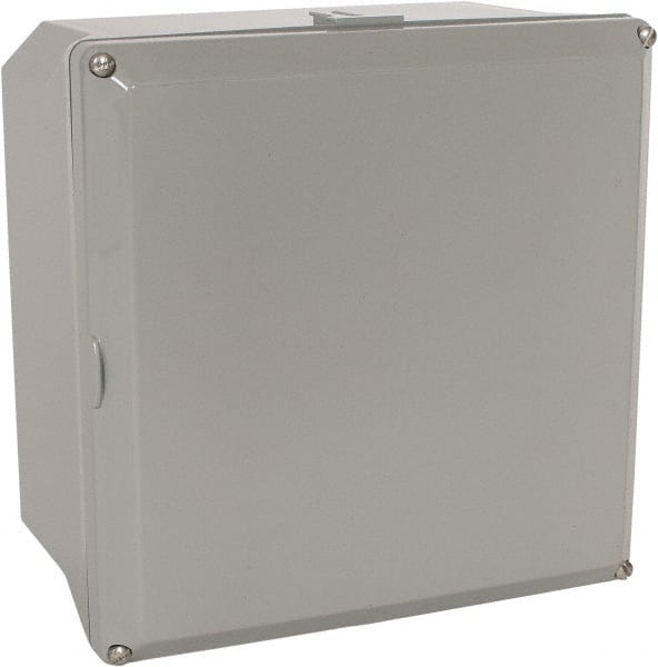 Standard Electrical Enclosure: Polycarbonate, NEMA 1, 12, 2, 3, 3S, 3SX, 3X, 4 & 4X MPN:NS884