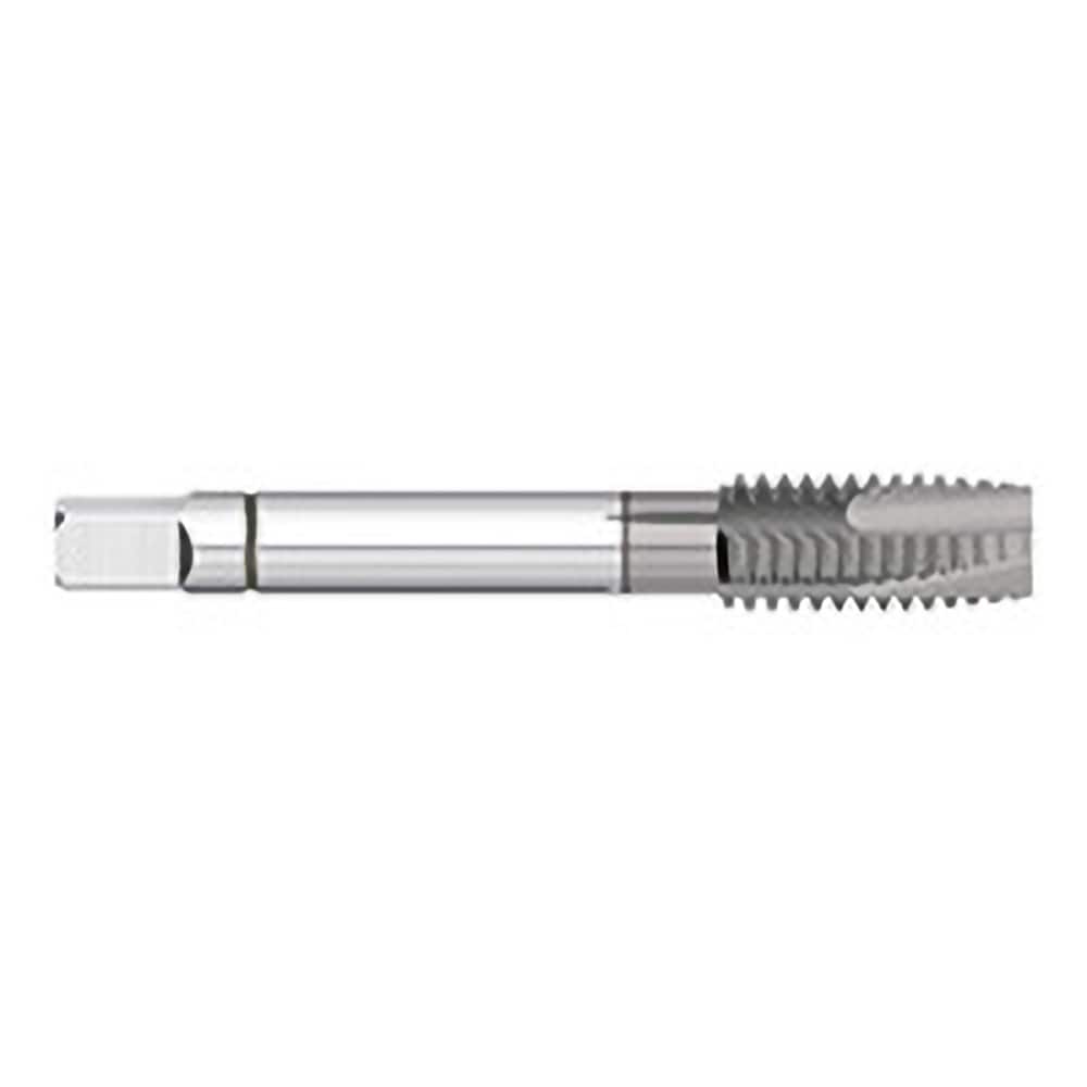 Spiral Point Tap: M2.5x0.45 Metric, 2 Flutes, Plug Chamfer, 6H Class of Fit, Powdered Metal, TiCN Coated MPN:TT98955