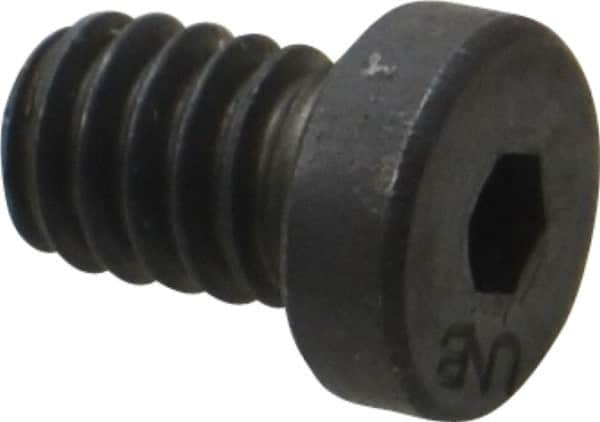 Hex Socket Cap Screw: 1/4-20 x 3/8