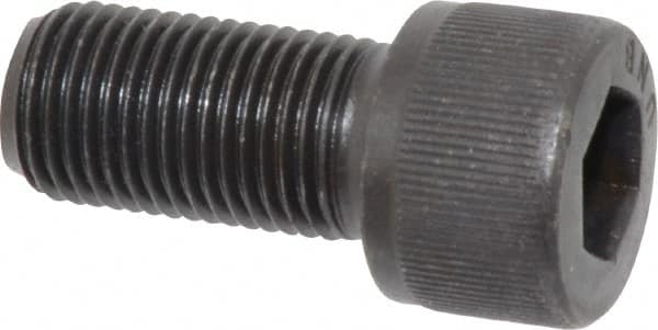 Socket Cap Screw: 1/2-20, 1