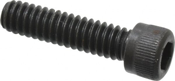 Socket Cap Screw: 1/4-20, 1