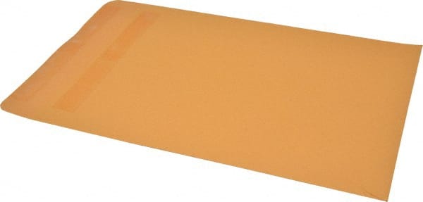 Kraft Catalog Mailing Envelope: 9