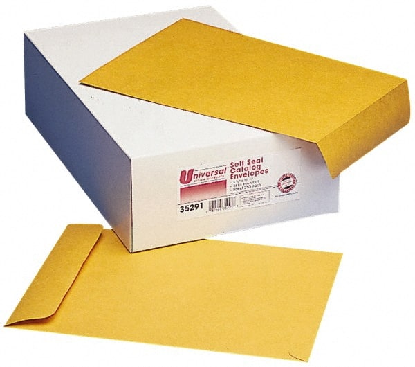 Kraft Catalog Mailing Envelope: 10