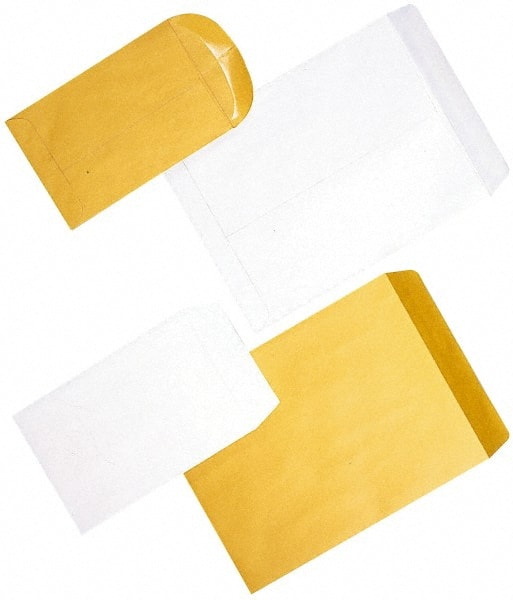 White Catalog Mailing Envelope: 6-1/2