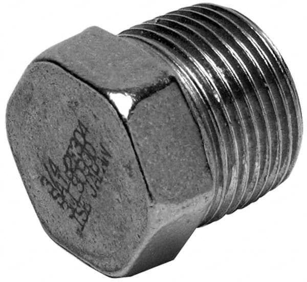 Pipe Hex Plug: 1/4