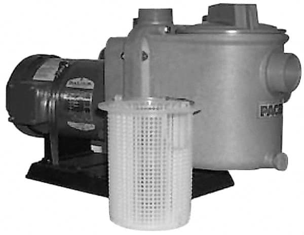 115/230 Volt, 1 Phase, 1 HP, Self Priming Pump MPN:GNOK2CL C1.0C