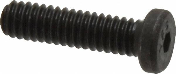 Low Head Socket Cap Screw: #8-32, 5/8