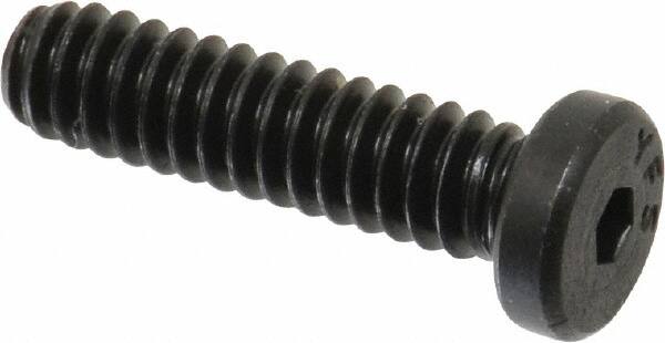 Low Head Socket Cap Screw: #10-24, 3/4