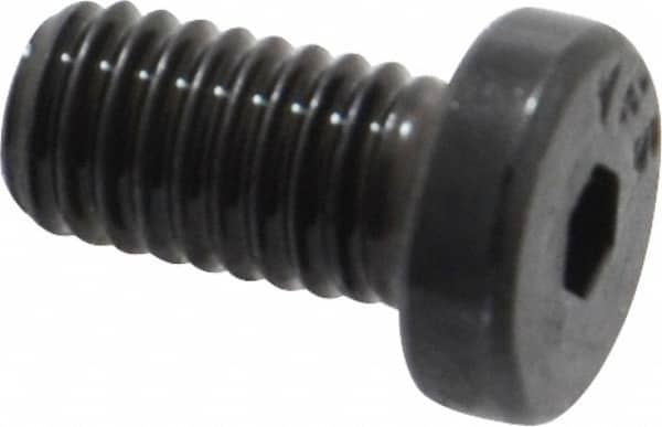 Low Head Socket Cap Screw: #10-32, 3/8