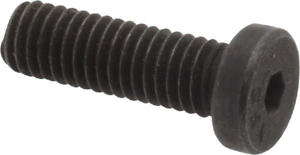 Low Head Socket Cap Screw: #10-32, 5/8