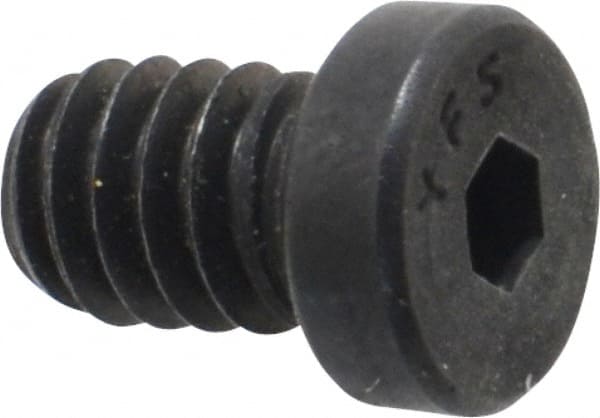 Low Head Socket Cap Screw: 1/4-20, 3/8