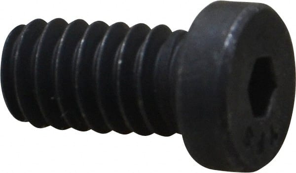 Low Head Socket Cap Screw: 1/4-20, 1/2