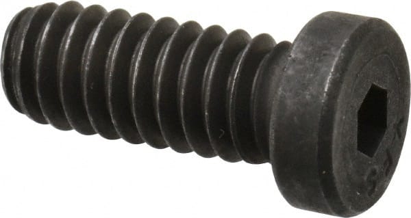 Low Head Socket Cap Screw: 1/4-20, 5/8