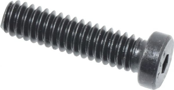 Low Head Socket Cap Screw: 1/4-20, 1