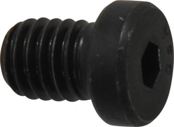 Low Head Socket Cap Screw: 3/8-16, 1/2