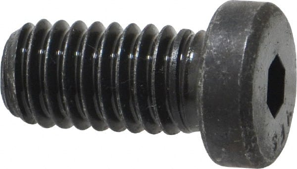 Low Head Socket Cap Screw: 3/8-16, 3/4