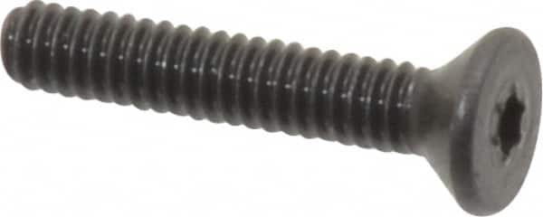 Flat Socket Cap Screw: #2-56 x 1/2