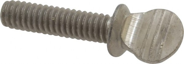 18-8 Stainless Steel Thumb Screw: 1/4-20, Oval Head MPN:R63280242