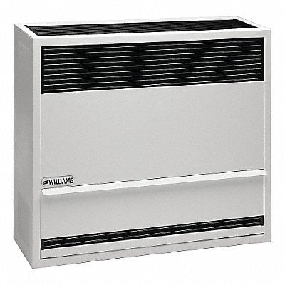 Example of GoVets Gas Wall Surface Mount Heaters category