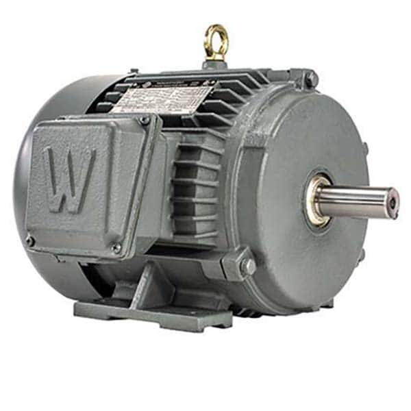 Premium Efficient AC Motor: TEFC Enclosure MPN:PEWWE25-18-284T