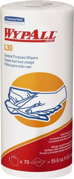 Wipes: Dry & L30 MPN:05843