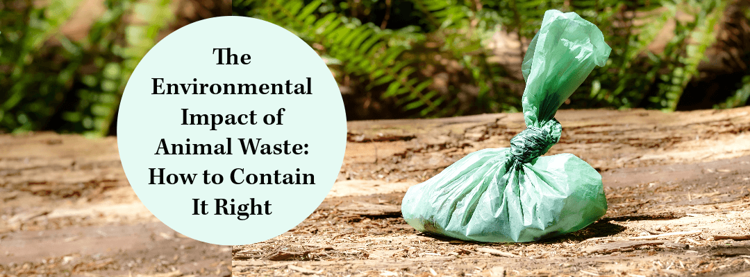 Environmental Impact of Animal Waste