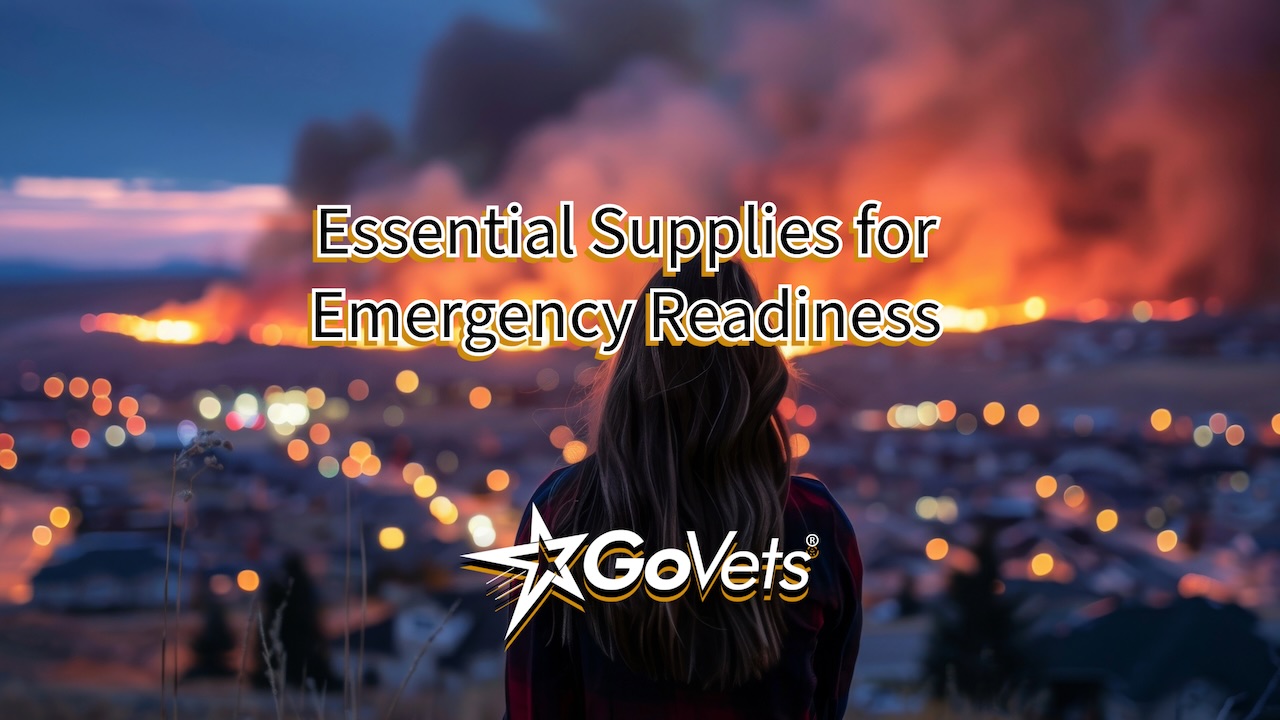 Emergency readiness during wildfires - woman looking at city burning - govets