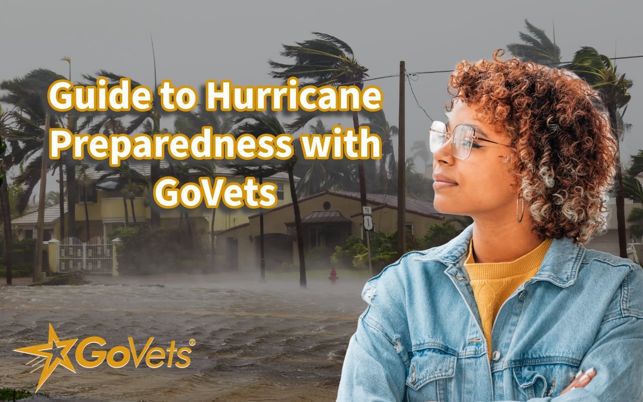 guide to hurricane preparedness - woman staring at hurricane background - GoVets logo